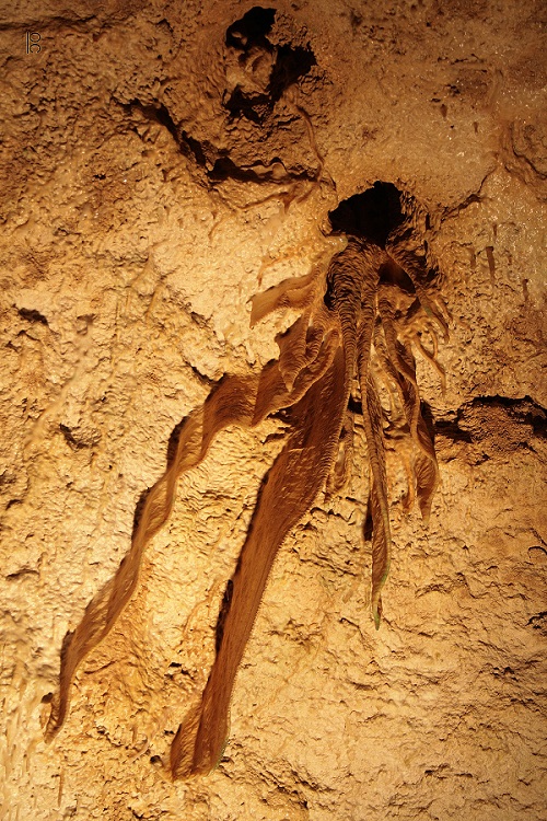 Grotte de Lastournelle, Sainte-Colombe-de-Villeneuve - photo 5
