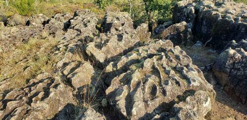 Landes serpentinicoles des Pierre du Mas, La Porcherie - photo 9
