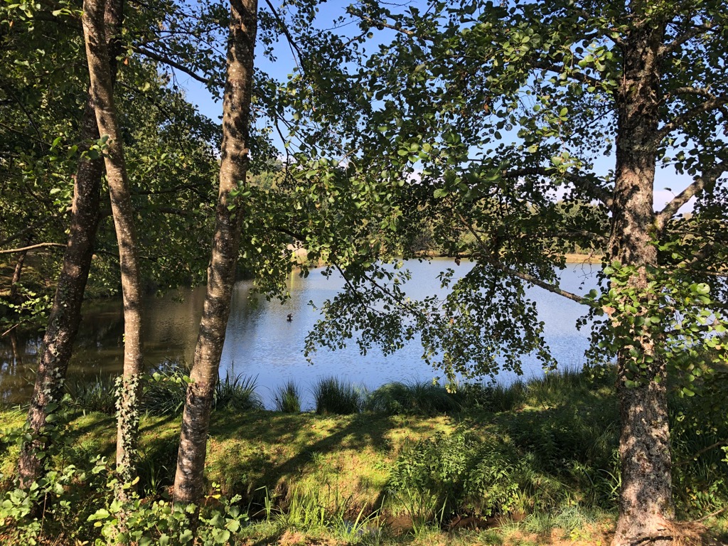 Landes serpentinicoles des Pierre du Mas, La Porcherie - photo 5