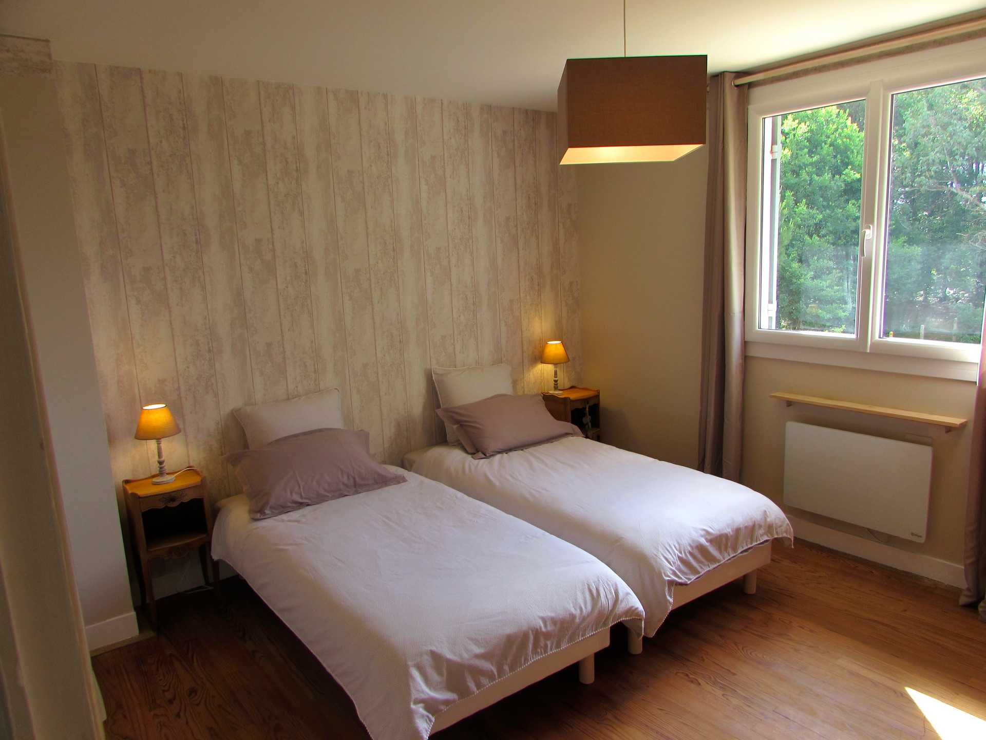 Les étoiles dans l'arbre, Sanguinet - photo 8