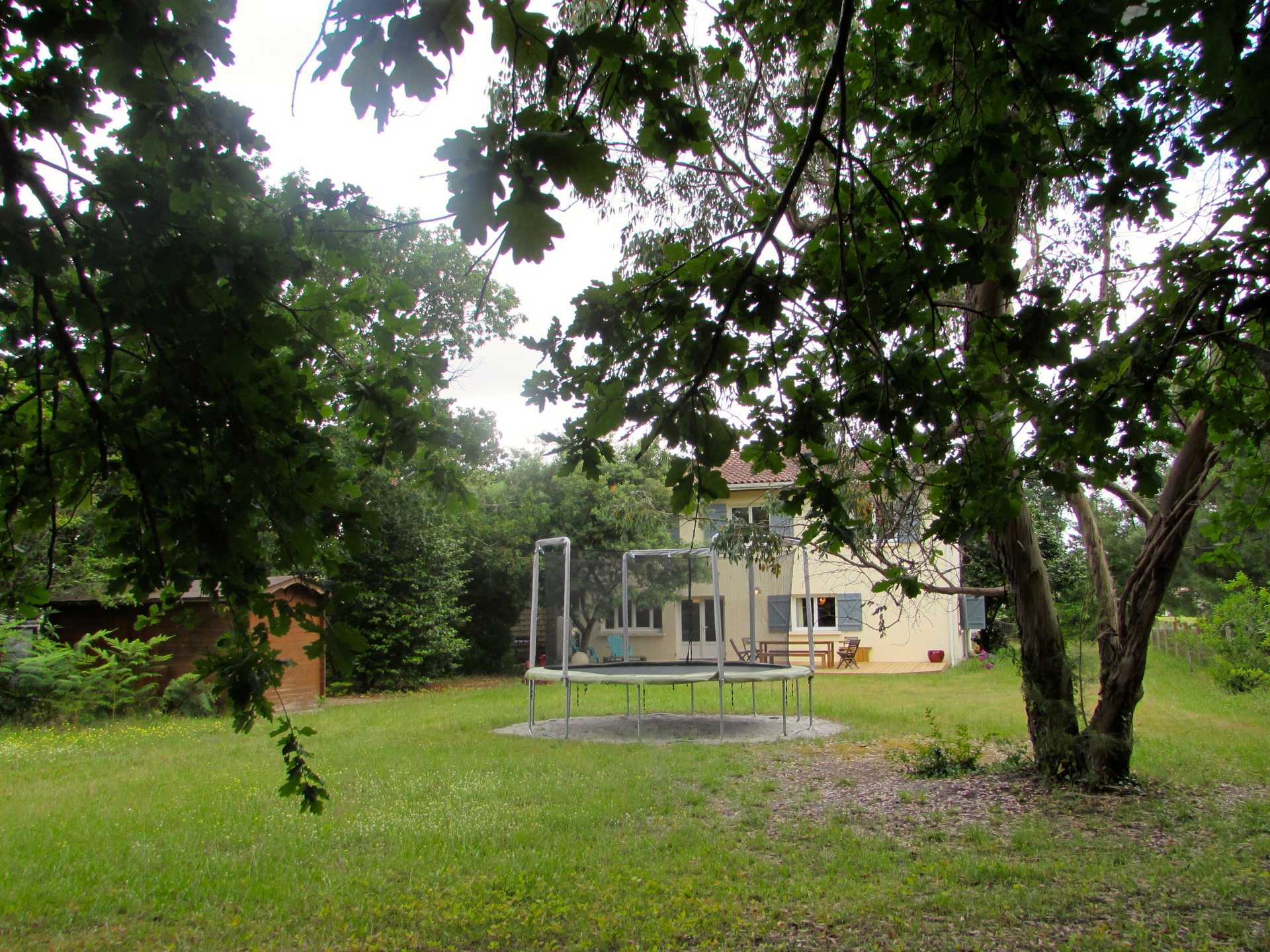 Les étoiles dans l'arbre, Sanguinet - photo 5
