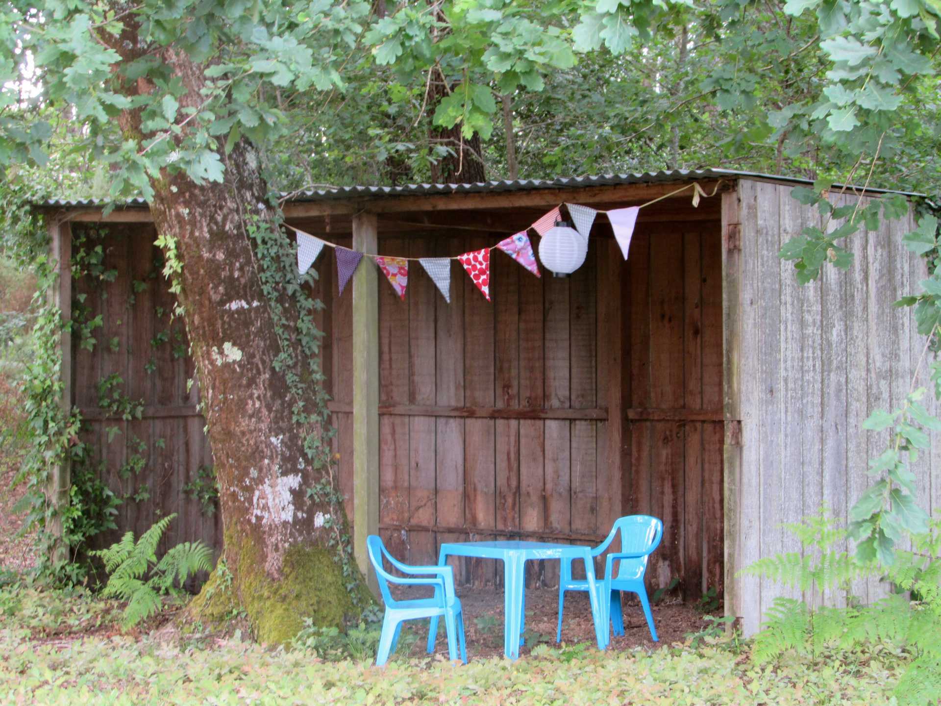 Les étoiles dans l'arbre - photo 5