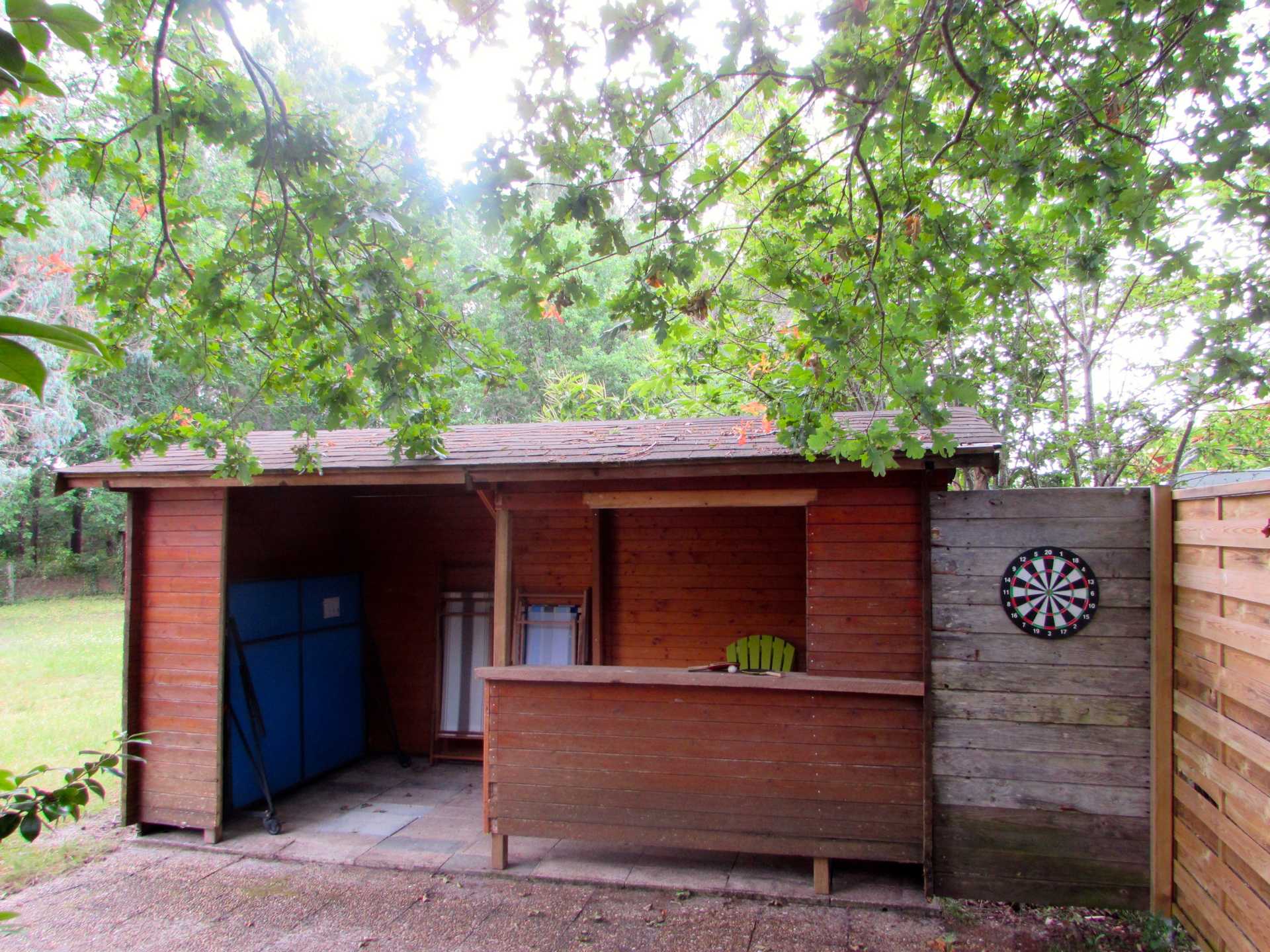 Les étoiles dans l'arbre - photo 4