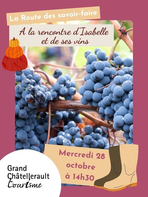 A la rencontre d'Isabelle et de ses vins