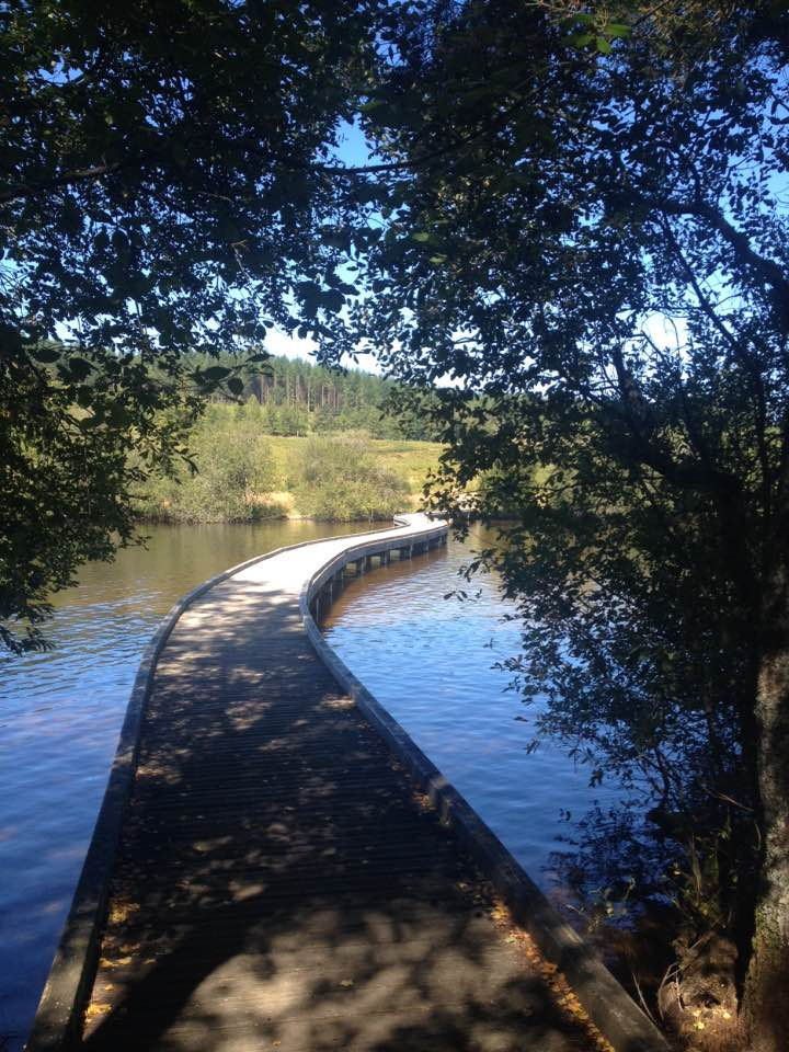 CHALET BLEU LAC OEIL DE VASSIVIERE, Royère-de-Vassivière - photo 17