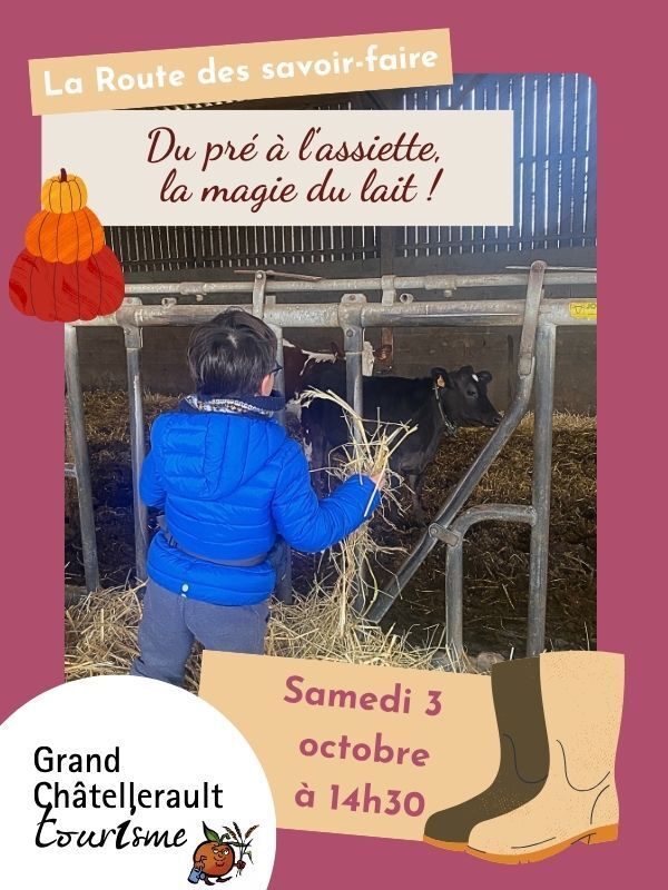 Du pré à l'assiette, la magie du lait