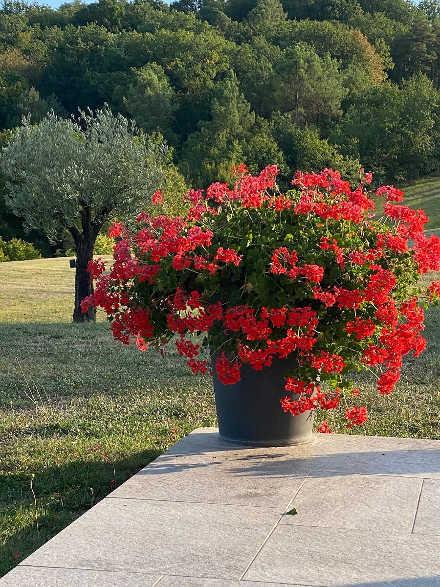 Domaine Maribo, Saint-Astier - photo 17