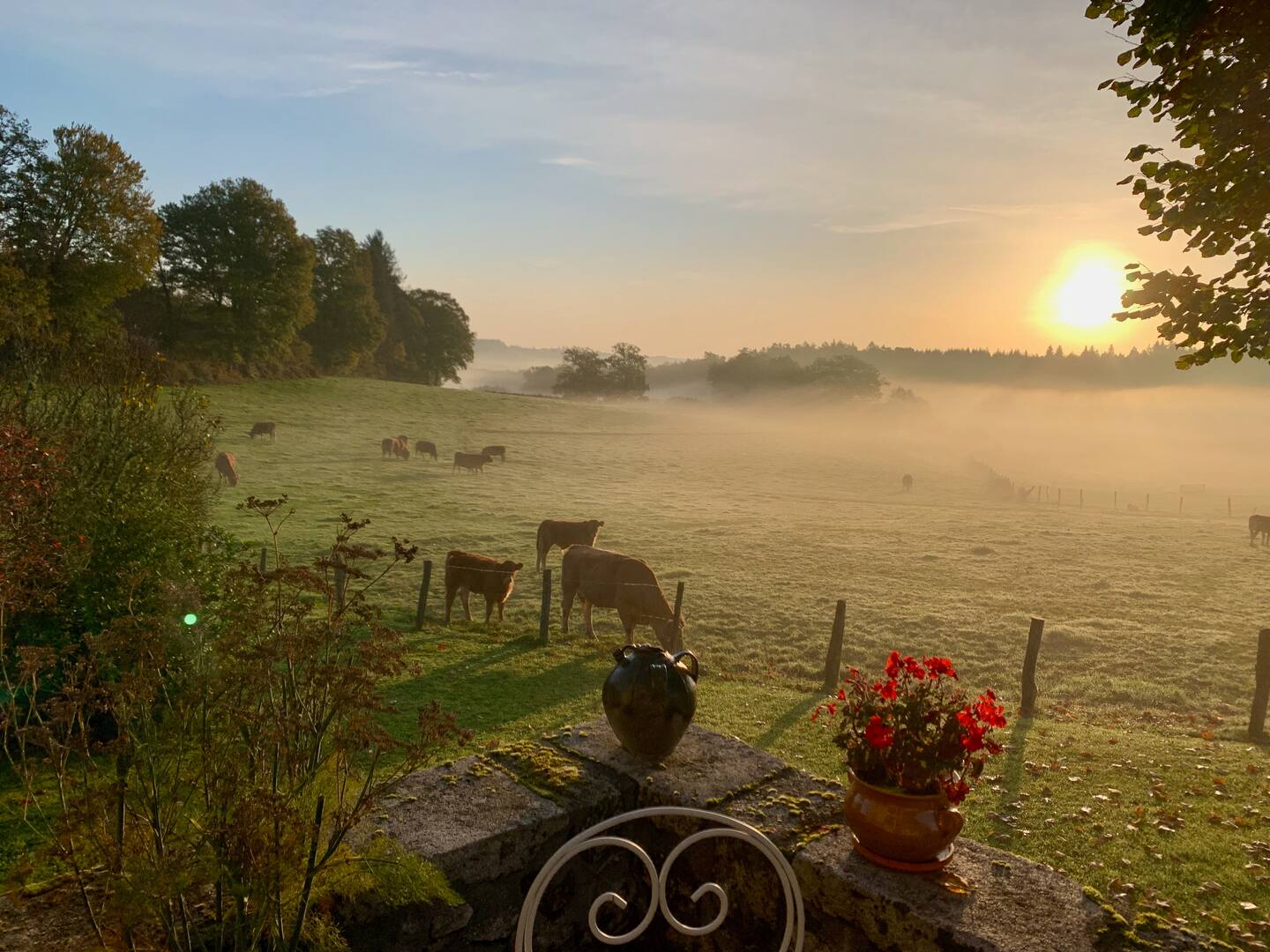 Gîte de la Peyre, Moustier-Ventadour - photo 7