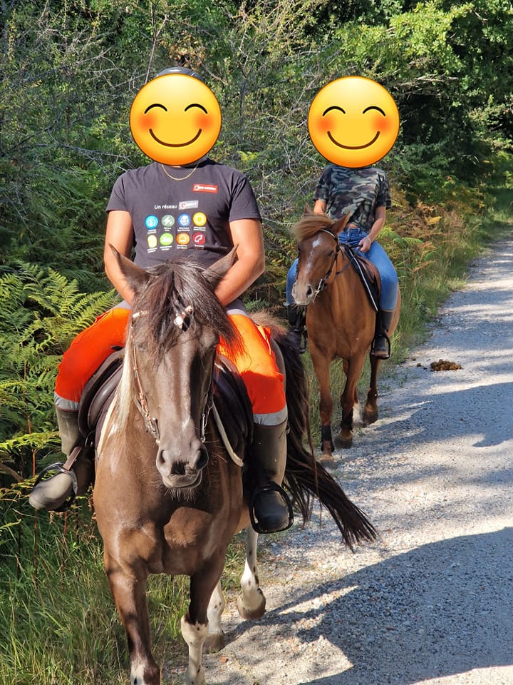 Les écuries de Sénajou - photo 3