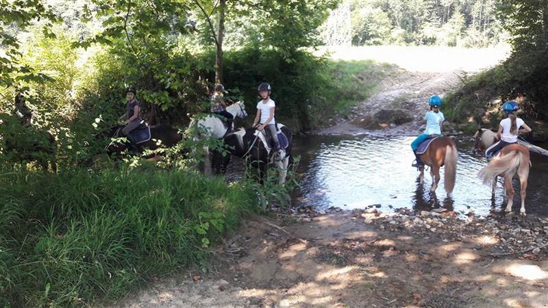 Les Ecuries de la Vallée Heureuse