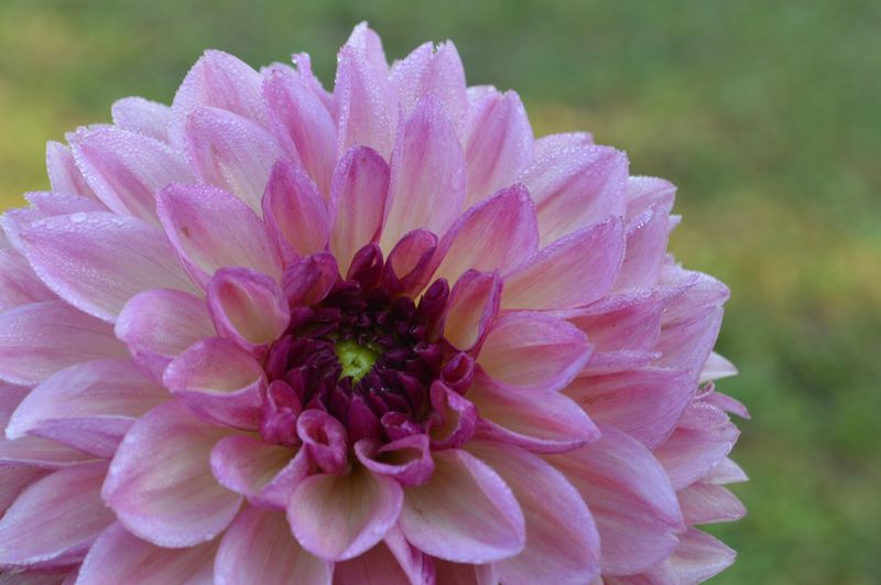 Parc Eden et Sens, Ginestet - photo 4