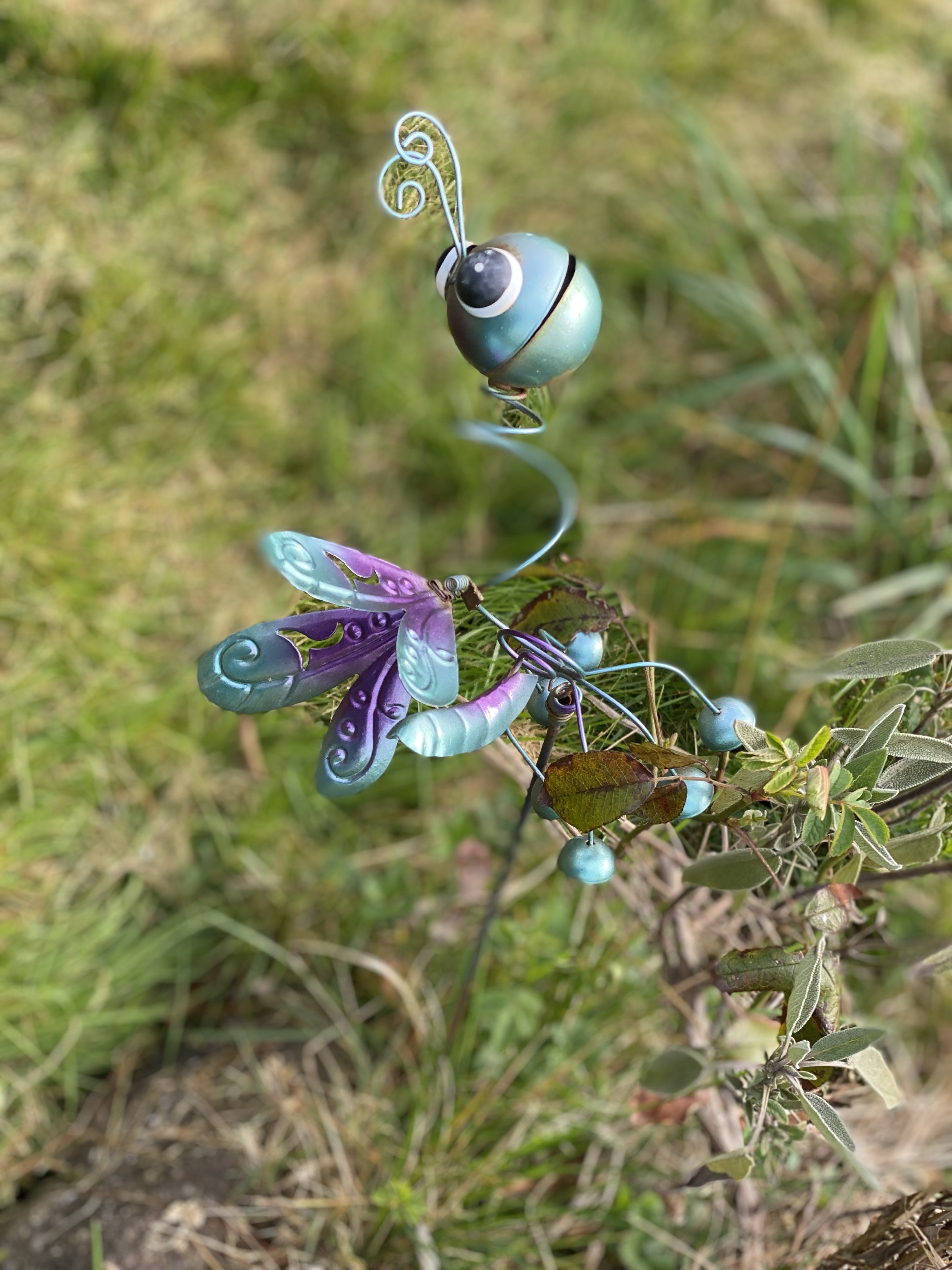 Le Jardin des Possibles