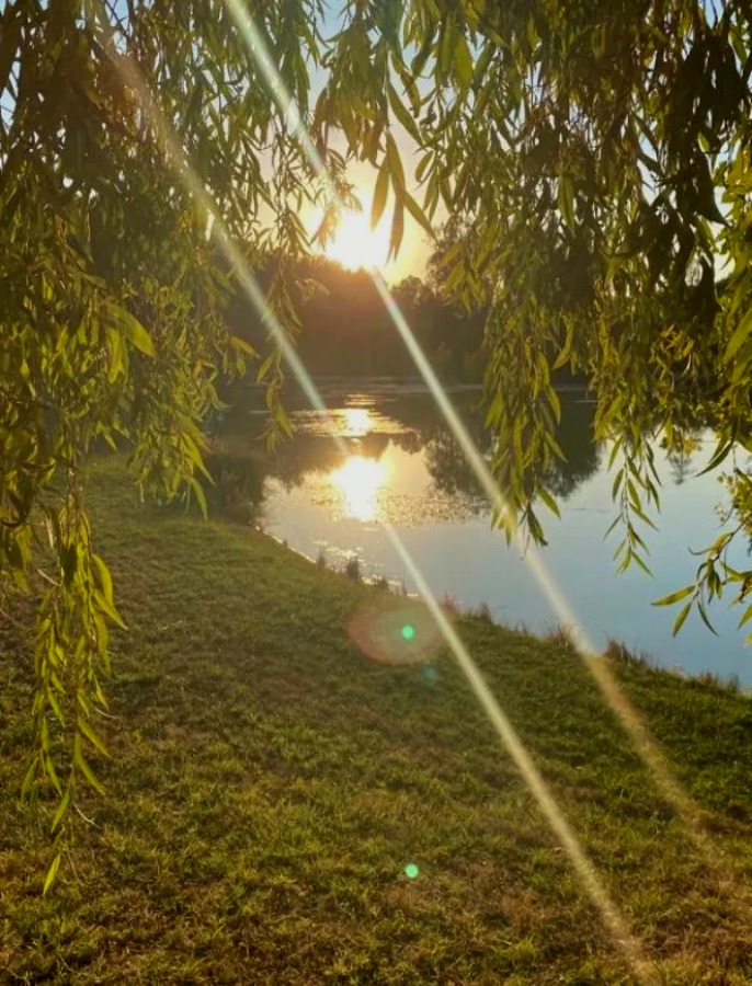 Domaine de Goulens, Layrac - photo 3