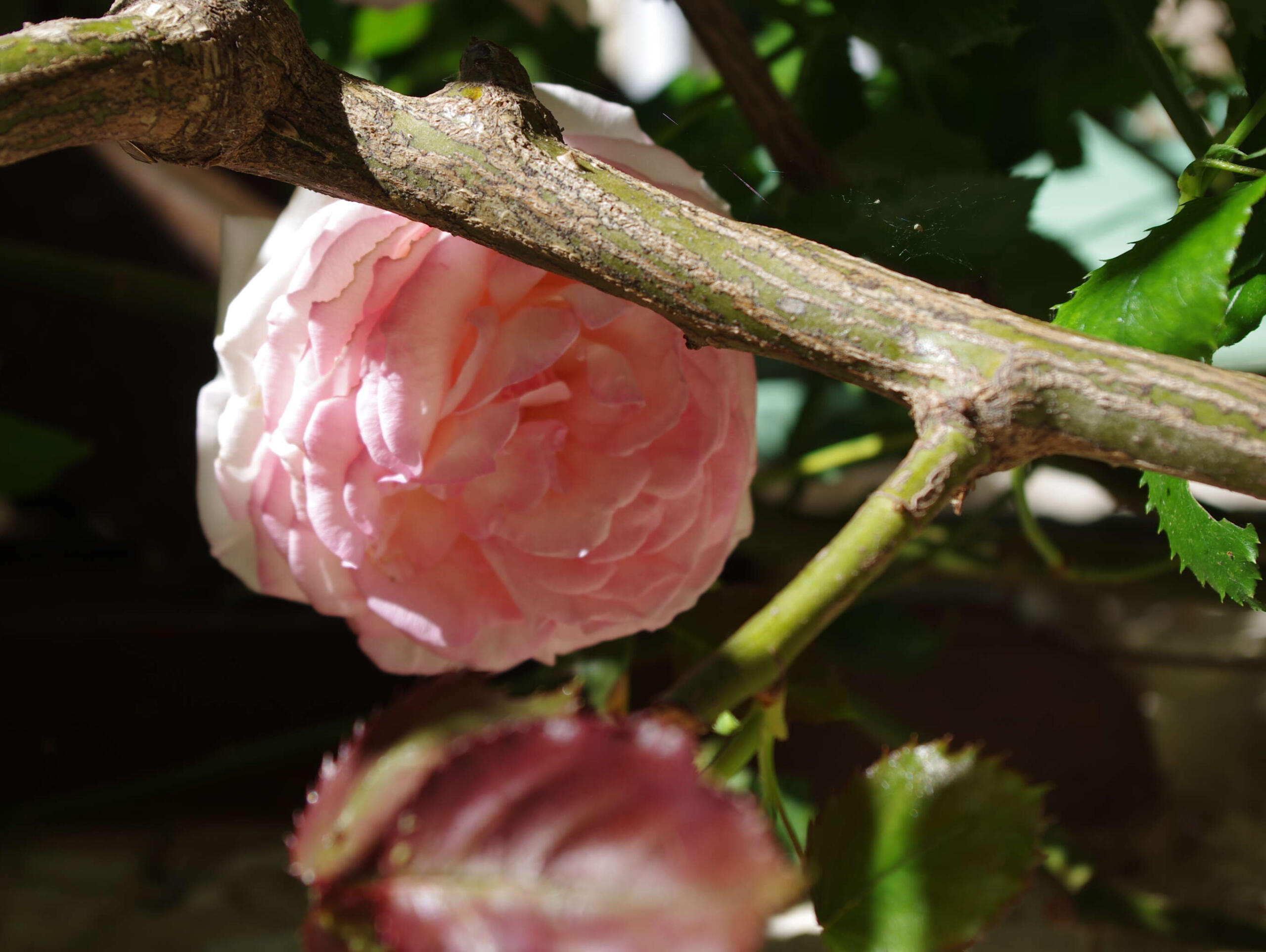 Gîte Saint Michel, Villeréal - photo 18