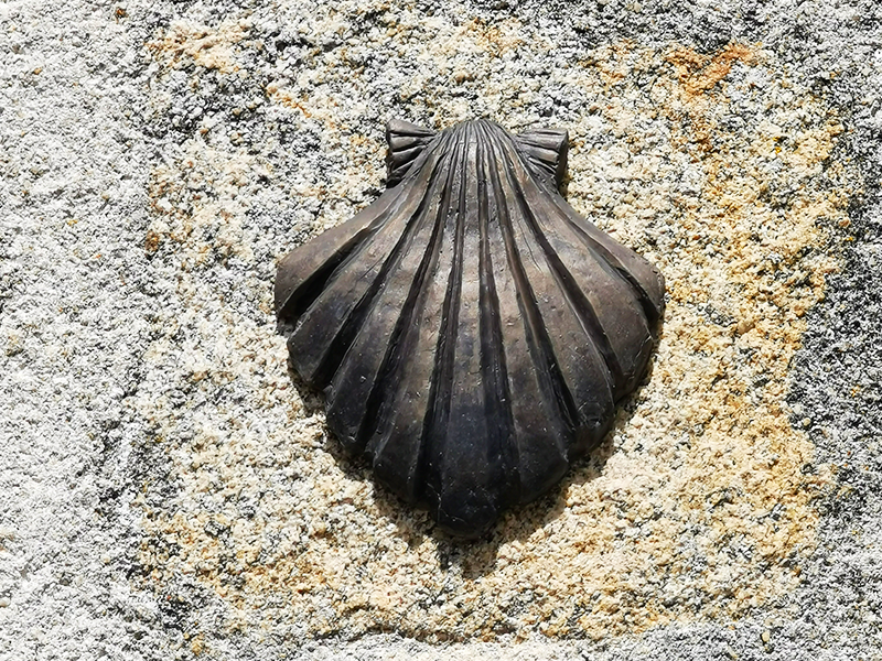 Église de l’Assomption de la Très Sainte-Vierge, Flavignac - photo 2