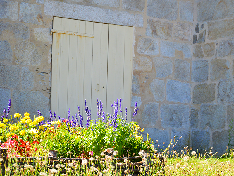 Église Saint-Nicolas, Bussière-Galant - photo 3