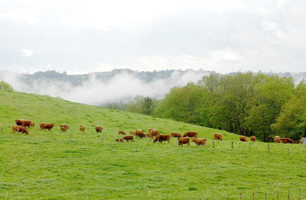 Le Puy d'Embesse — photo 3