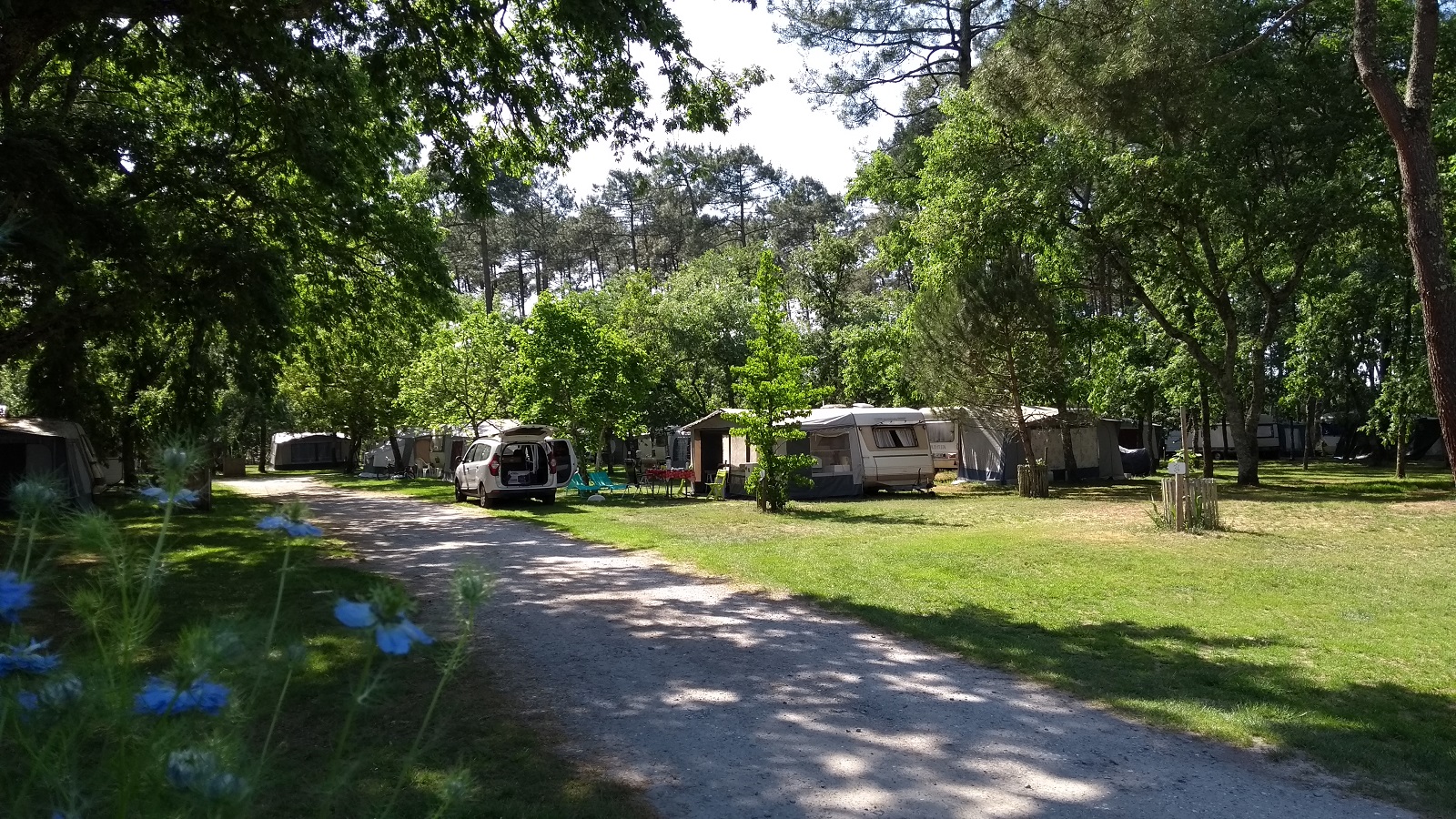 Camping Le Bilos, Salles - photo 3