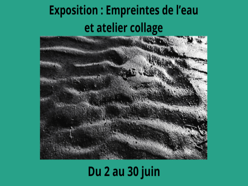 Exposition Empreintes de l'eau par Céline Vermeire Bruère. — visuel événement