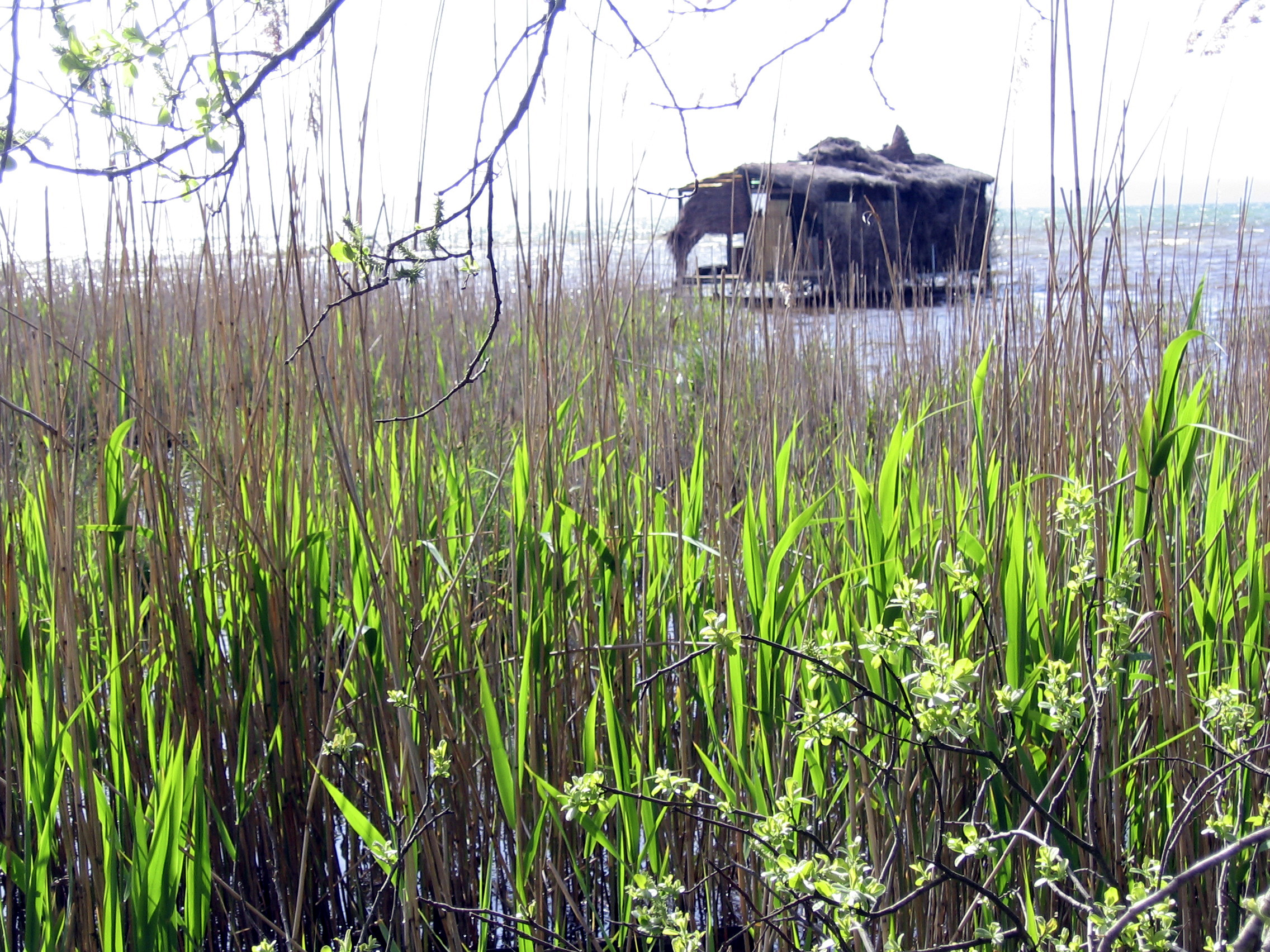 Circuit rando de Mayotte
