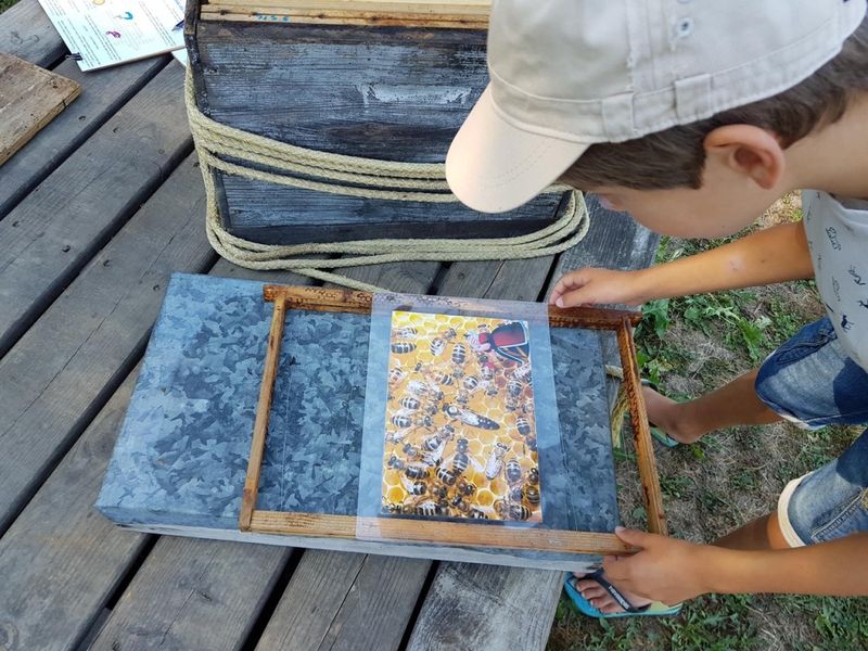 Parc Eden et Sens, Ginestet - photo 5