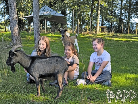 Parc animalier des portes du Périgord, Beauregard-de-Terrasson