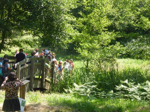 Zone sensible Sabaille - photo 4