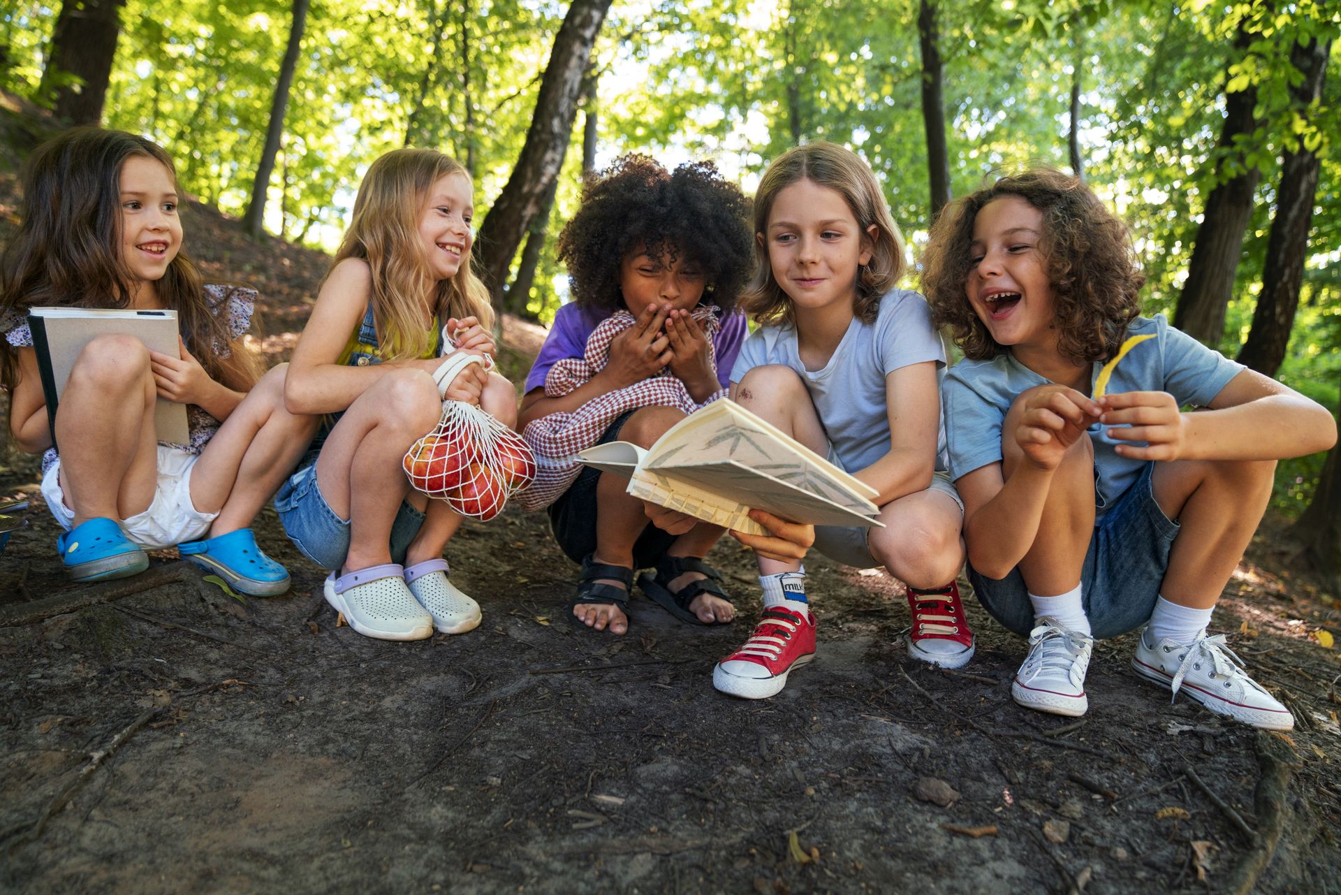 Quiz Interactif - Scolaire