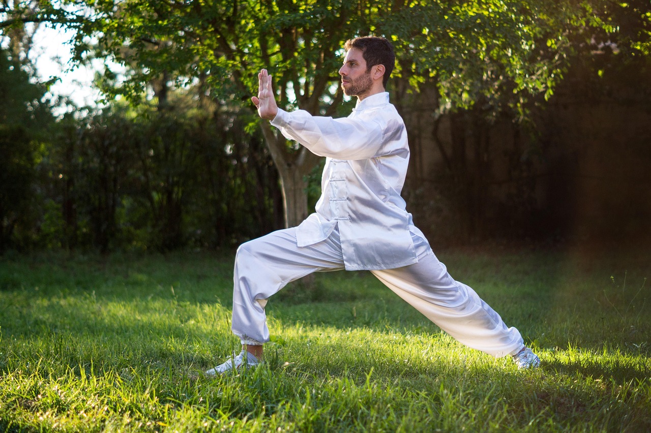 Stage d'été de QI GONG — visuel événement