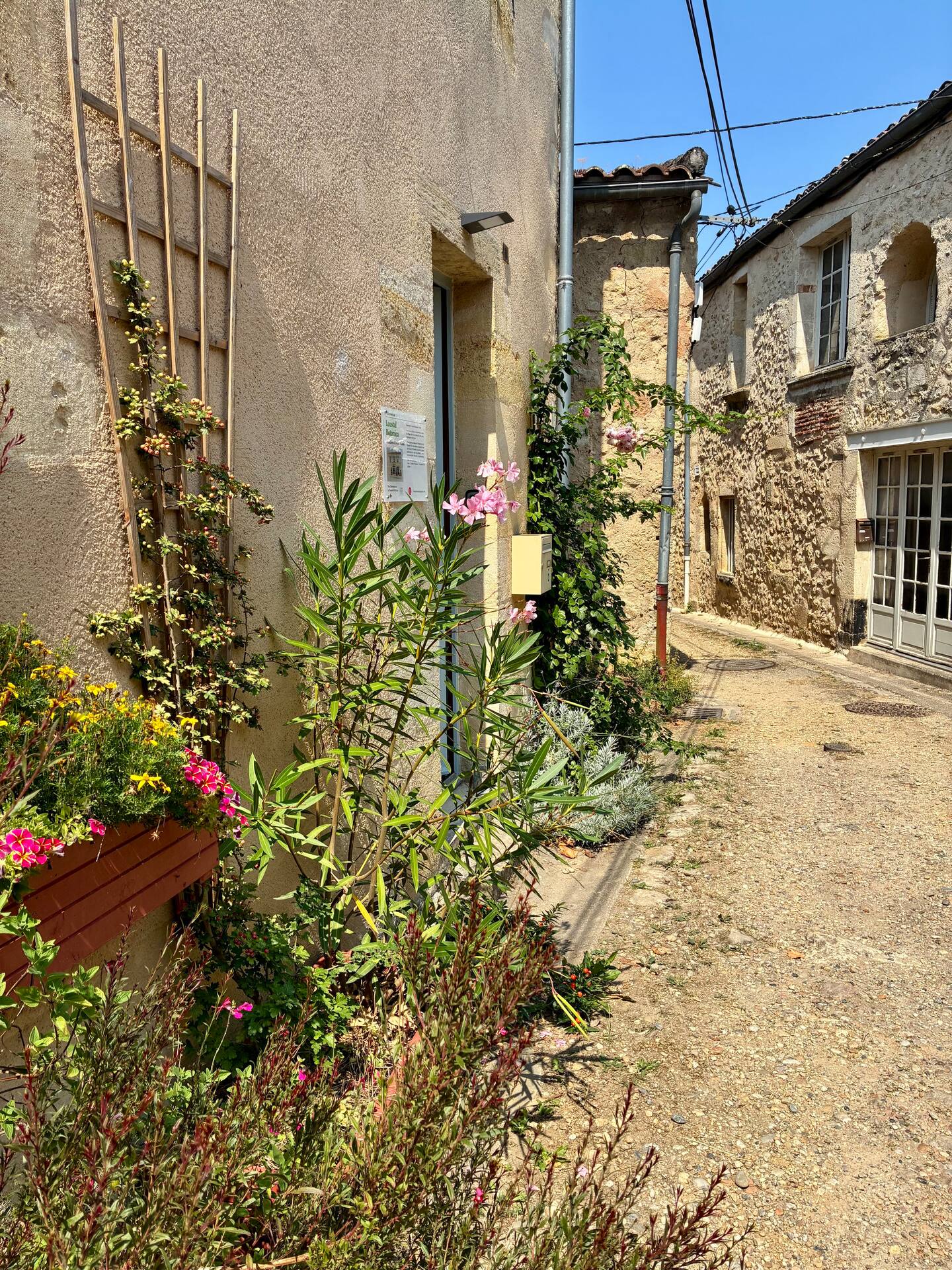 Loustal Botanica, Rions - photo 5