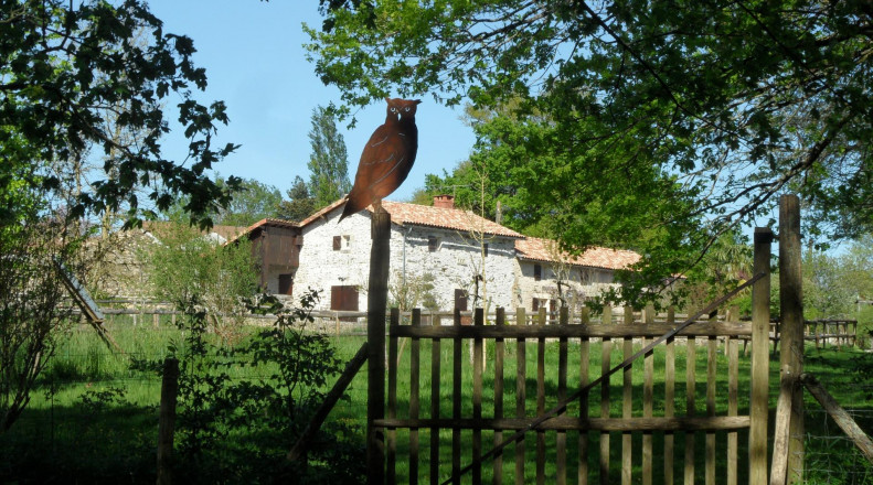 La Berlière - Gîte nature, Saint-Pardoux-Soutiers - photo 22