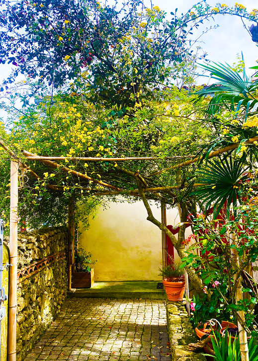 Le Patio Tursan, Pimbo - photo 3