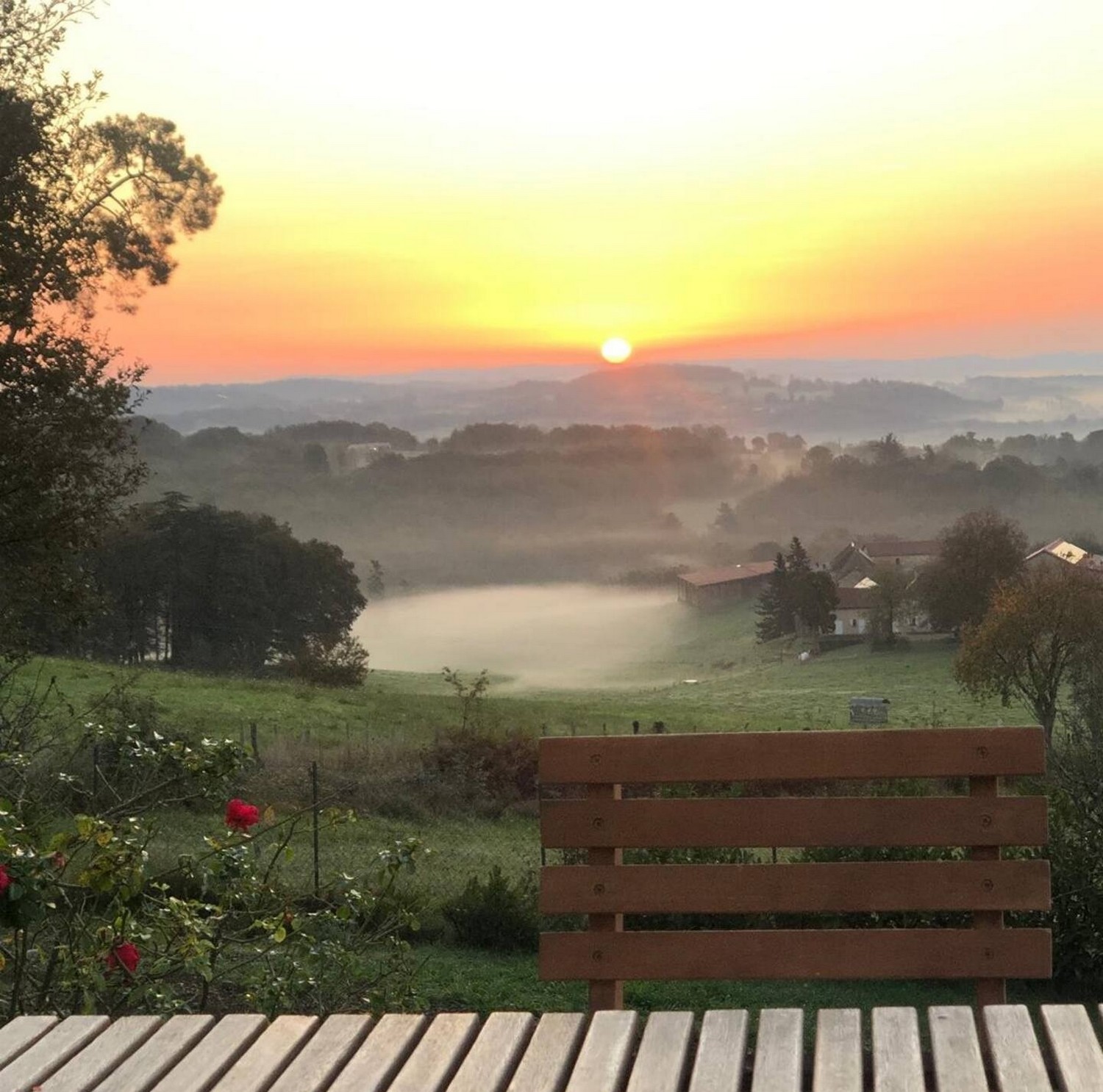 L'Envol des Hirondelles