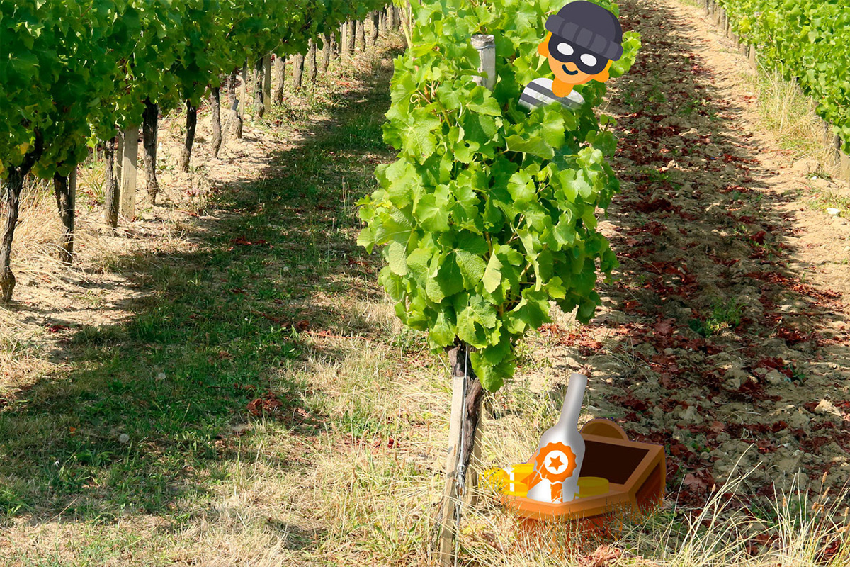Escape game dans les vignes | Château du Haut Pezaud — visuel événement