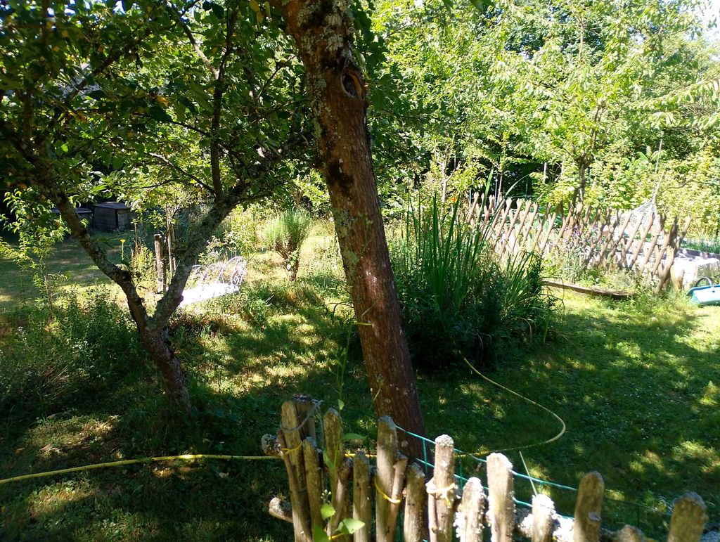 MARTIN PÊCHEUR, Fursac - photo 13