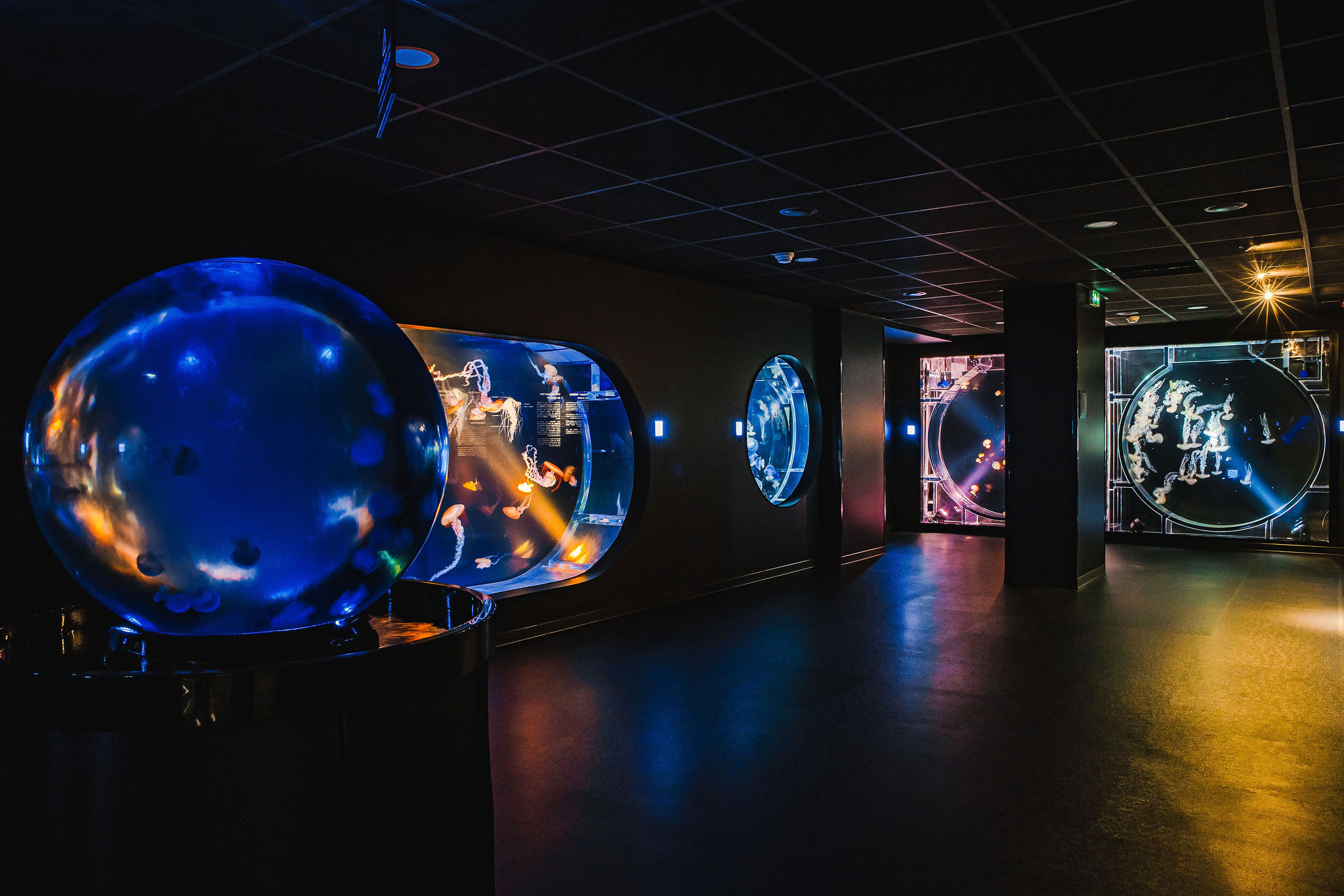 Aquarium de Biarritz - photo 5