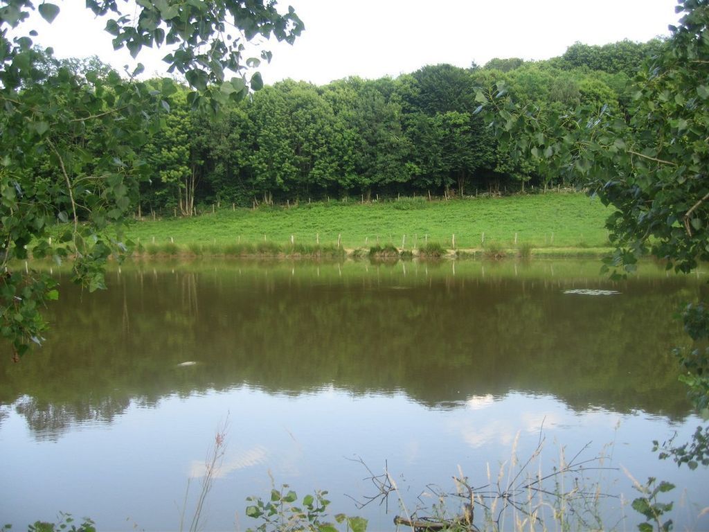 LE GÎTE DU HÉRISSON - photo 3