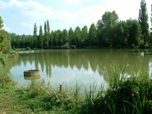 Domaine les Hauts de Lastours, Pays de Belvès - photo 8