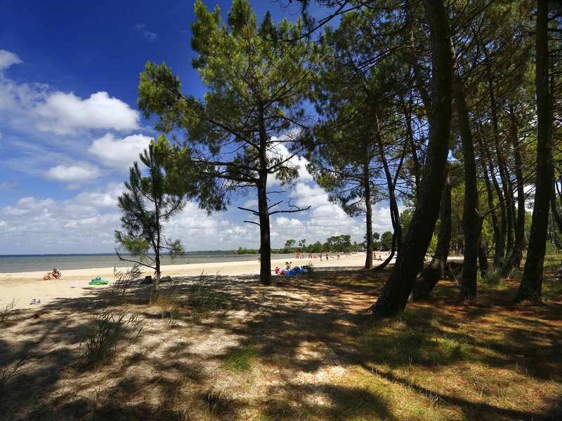 Maison proche du lac avec parking privatif, Biscarrosse - photo 6
