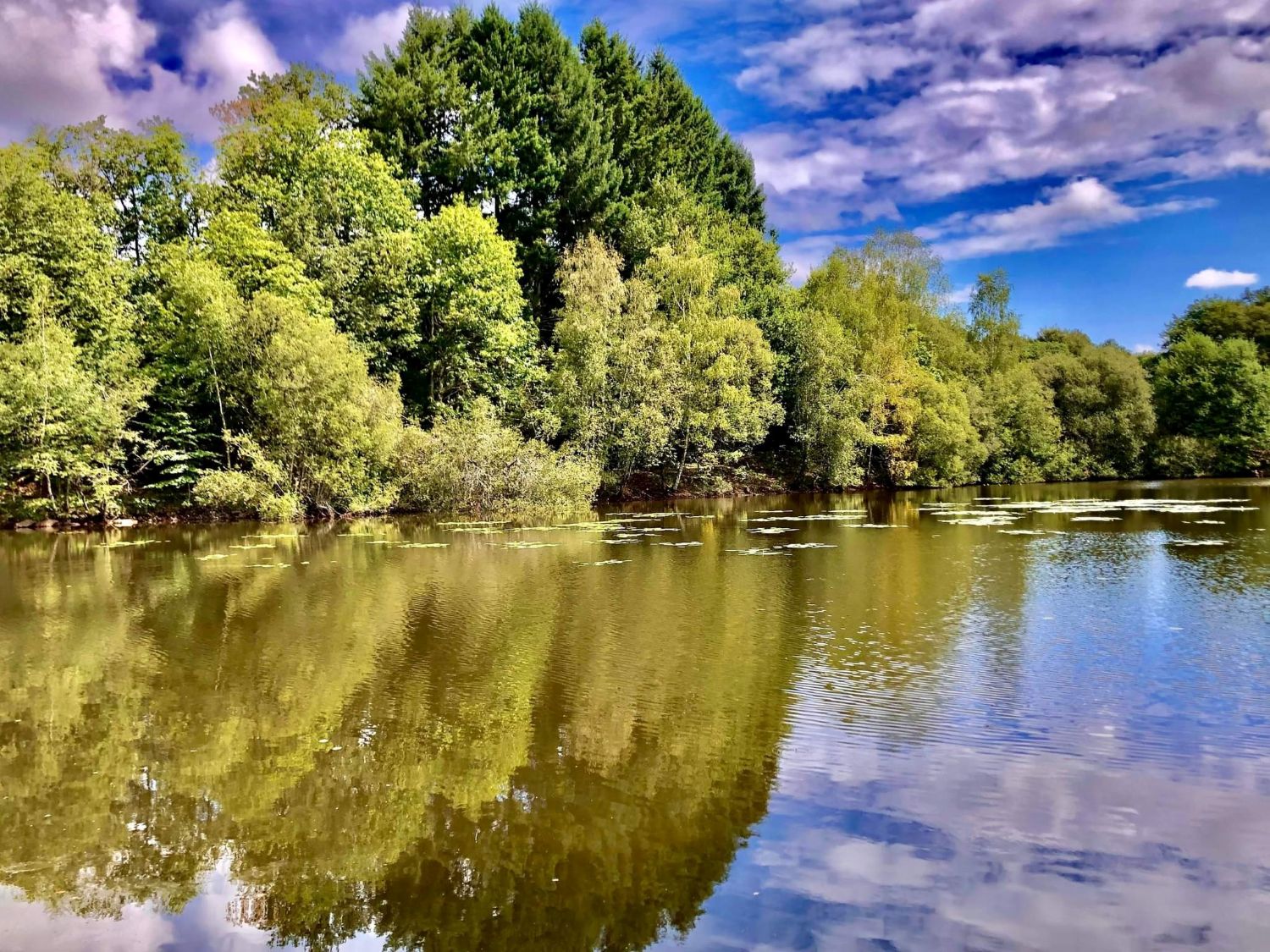 Etang des Gorceix, Bonnac-la-Côte - photo 2