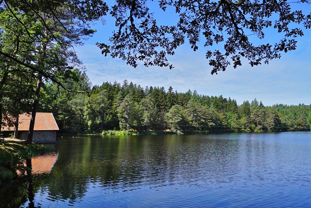 Etang de Laborde, Gumond - photo 2