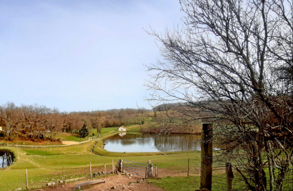 Gite du grand étang, Ars - photo 12