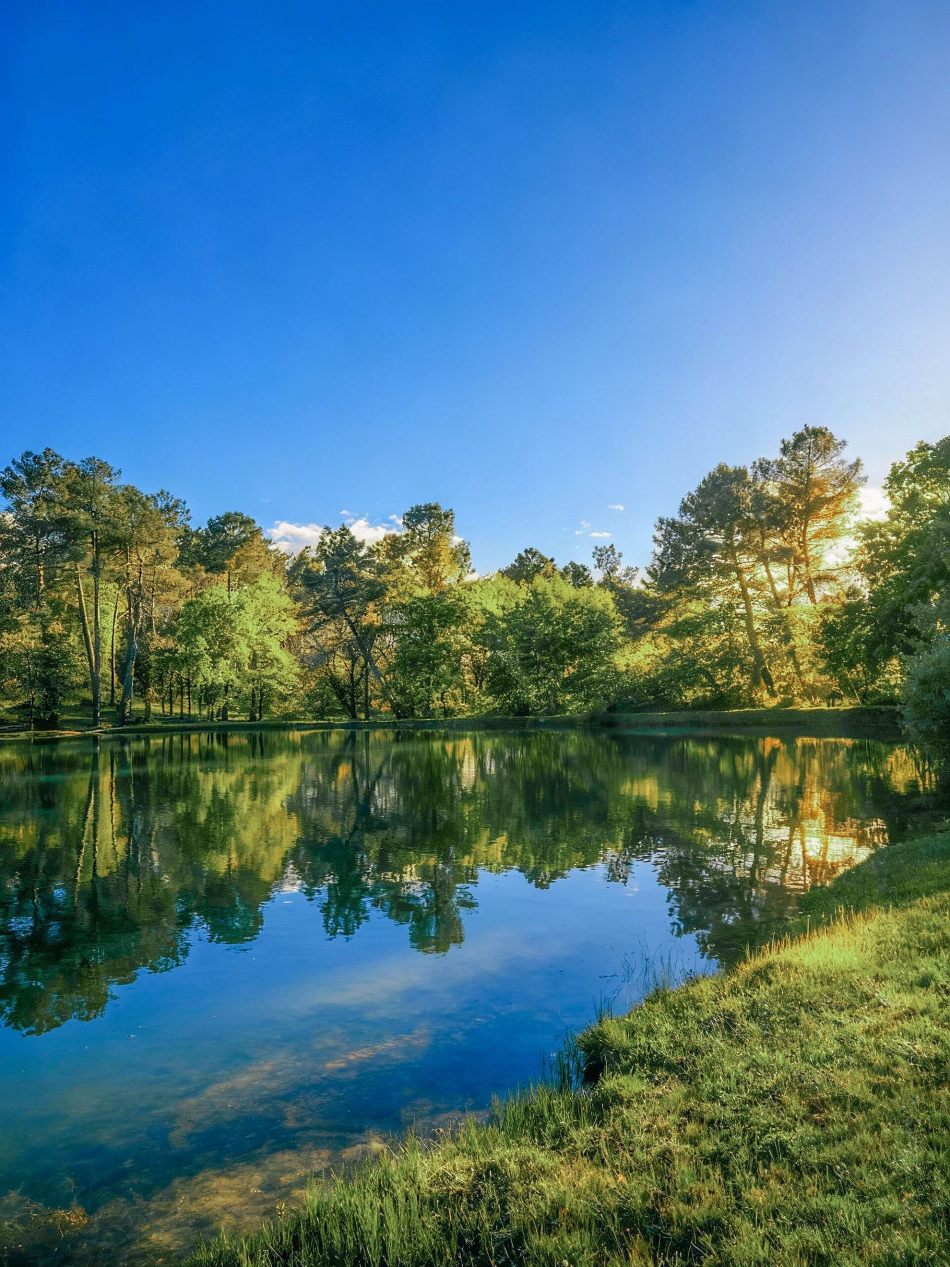 Gaia Ecolodge, Douville - photo 18