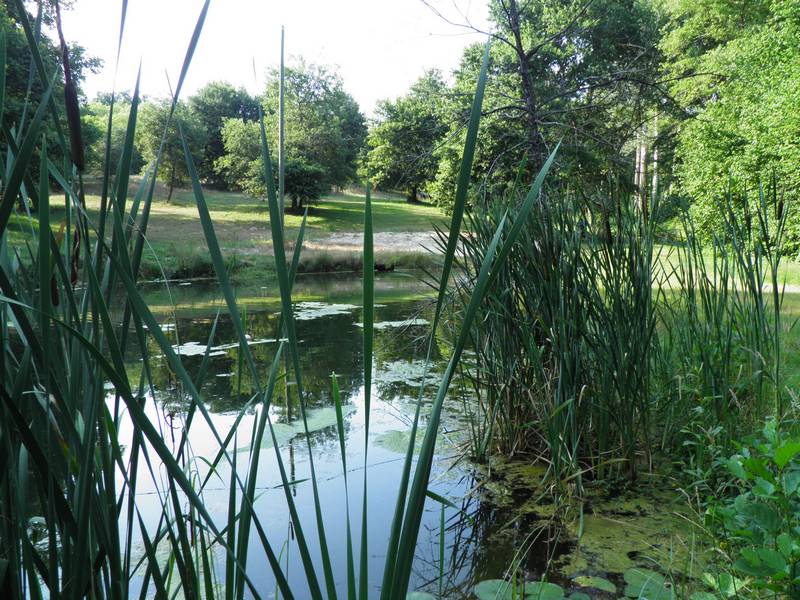 Chambres d'hôtes du Grué, Réaup-Lisse - photo 3