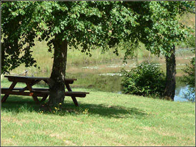 Table de pique nique