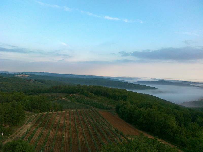 Cave du Vin de Domme - photo 3