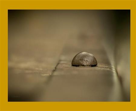 Exposition : Minimalisme Exposition : Minimalisme