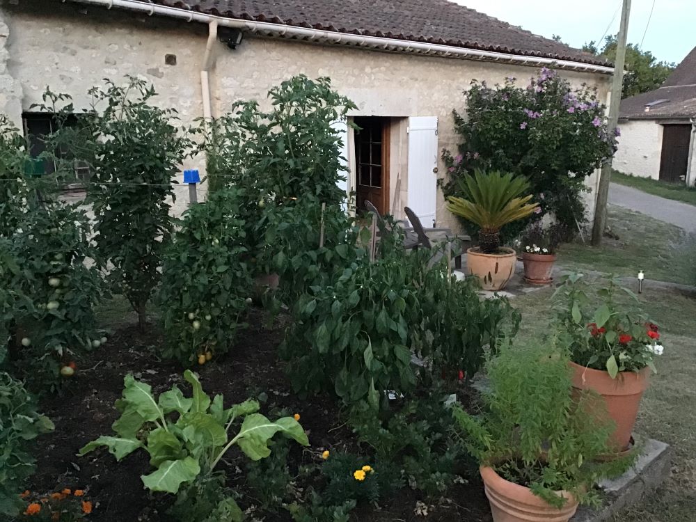 Meublé CHAPEYROU, Saint-Sernin - photo 12