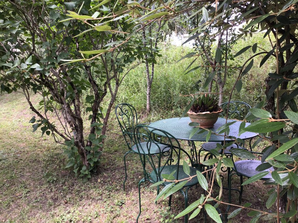 Meublé CHAPEYROU, Saint-Sernin - photo 6