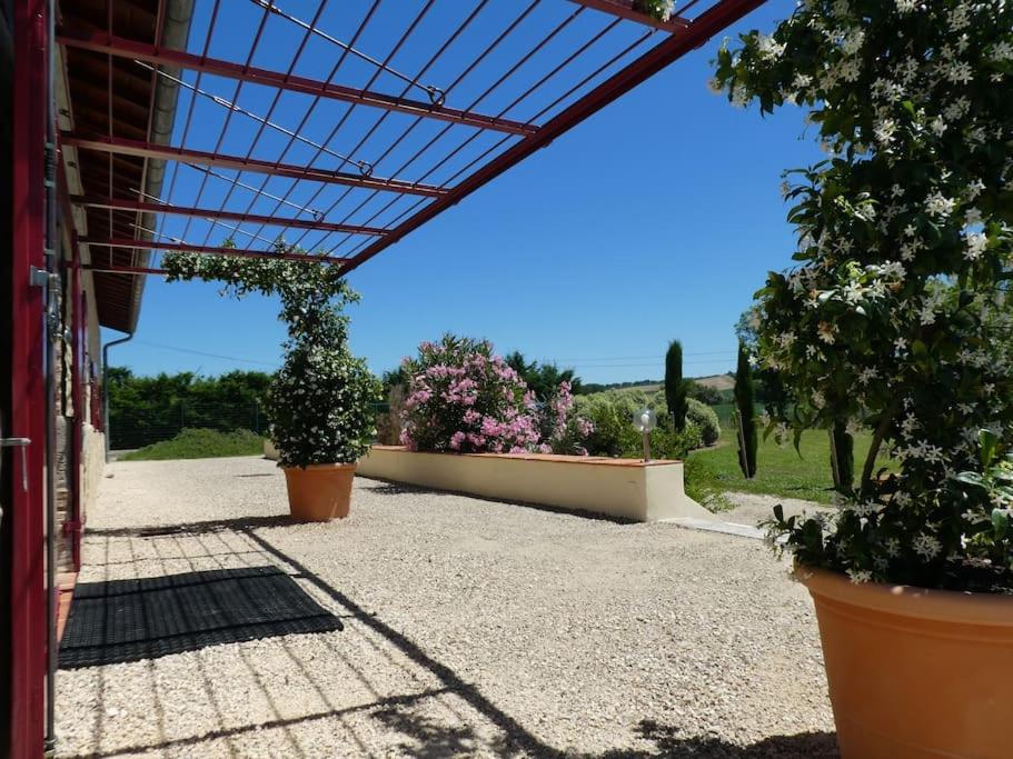 Gîte Cap de Fer, Villebramar - photo 7